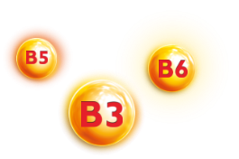 m150 composition - vitamins