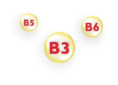 m150 composition - vitamins